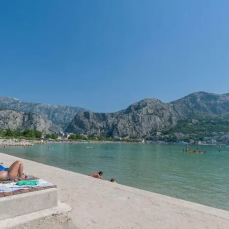 Lola * Omis